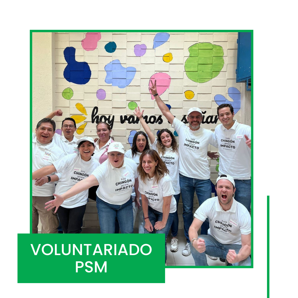 Educación en Acción: Jornada de Voluntariado PSM